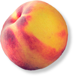 fruit-bg-image