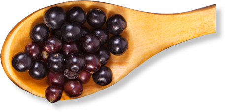 fruit-bg-image