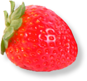 fruit-bg-image